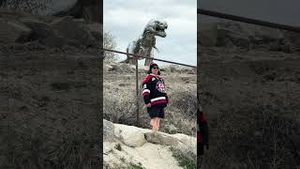 Video post by @leroyandleroy on YouTube