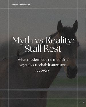 Image post by @theplaidhorsemag on Instagram