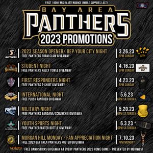 Image post by @panthersifl on Instagram
