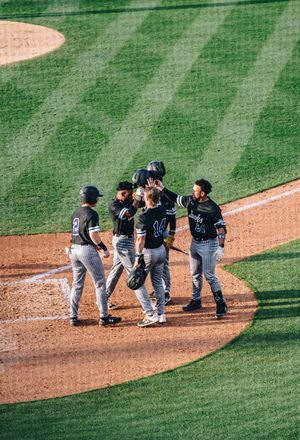 Image post by @sfa_baseball on Instagram