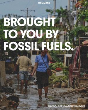 Image post by @commonsearth on Instagram