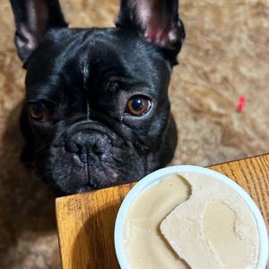 Image post by @dogstersicecream on Instagram