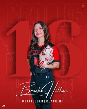 Image post by @runsoftball on Instagram