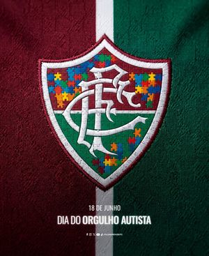 Image post by @fluminensefc on Instagram