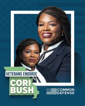 Image post by @common_defense on Instagram