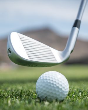 Image post by @pingtour on Instagram