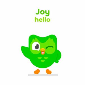 Video post by @duolingo on TikTok