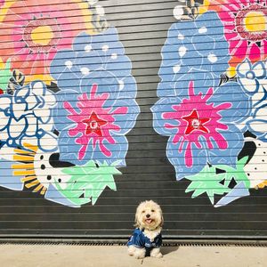 Image post by @shopsatlegacyeast on Instagram