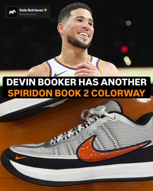 Image post by @soleretriever on Instagram
