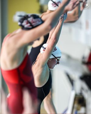Image post by @indianaswimdive on Instagram