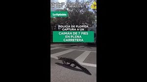 Video post by @laopinionla on YouTube