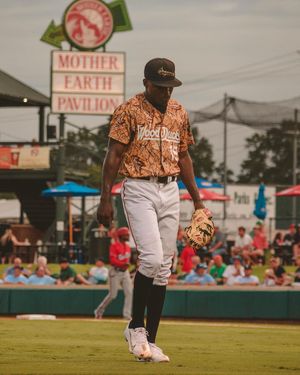 Image post by @gowoodducks on Instagram