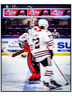 Image post by @ohlicedogs on Instagram