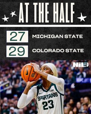 Image post by @msu.nil.store on Instagram