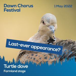 Image post by @rspb on Instagram
