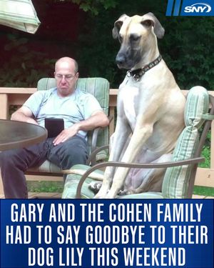 Image post by @snytv on Instagram