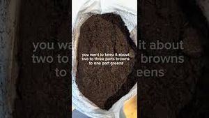 Video post by @carmeninthegarden on YouTube