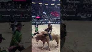 Video post by @pbr on YouTube