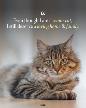 Image post by @peta on Instagram