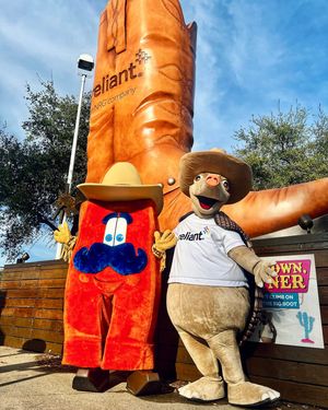 Image post by @reliantenergy on Instagram