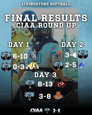 Image post by @bluebearathletics on Instagram