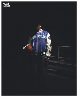 Image post by @hornets on Instagram