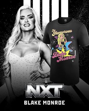 Image post by @wweshop on Instagram