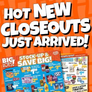 Image post by @biglots on Instagram