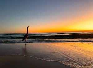 Image post by @southwalton on Instagram