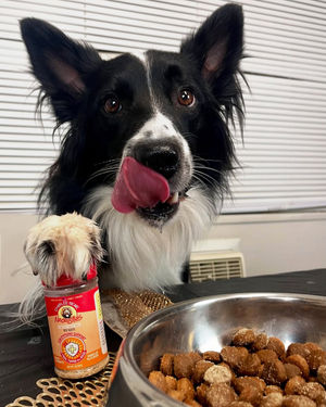 Image post by @charlee_bear_dogtreats on Instagram