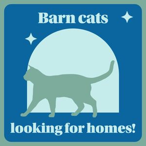 Image post by @whitmanpets on Instagram