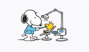 Image post by @bernhardt_and_smith_ortho on Instagram