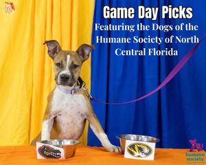 Image post by @barstoolflorida on Instagram
