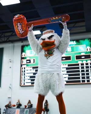 Image post by @um_sebastian on Instagram