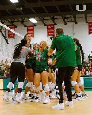 Image post by @canes_vb on Instagram