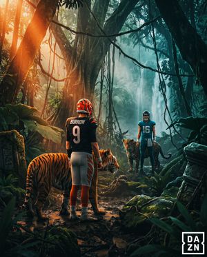 Image post by @nflondazn on Instagram