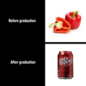 Image post by @9gag on Instagram