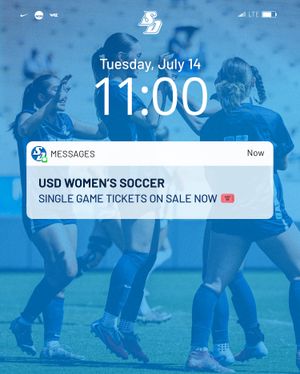 Image post by @usdwsoccer on Instagram
