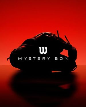 Image post by @wilsonballglove on Instagram