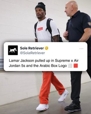 Image post by @soleretriever on Instagram
