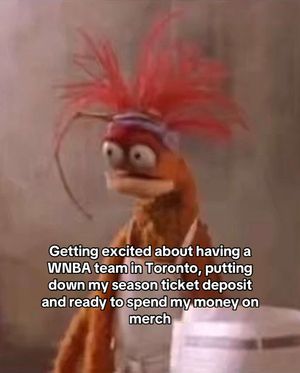 Video post by @torontotempo on TikTok