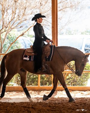 Image post by @smuequestrian on Instagram