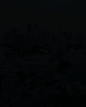 Image post by @shirifauer on Instagram
