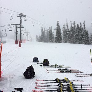 Image post by @mikaelashiffrin on Instagram