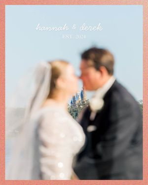 Image post by @disneyweddings on Instagram