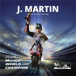 Image post by @michelinmotorsport on Instagram