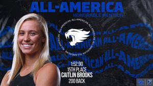 Image post by @UKSwimDive on Twitter