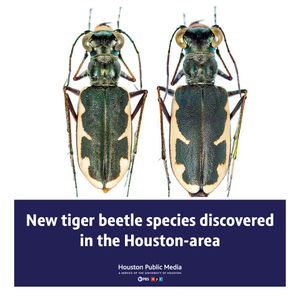 Image post by @houstonpubmedia on Instagram