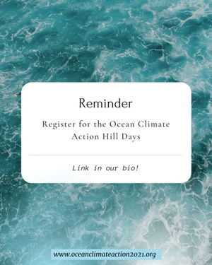 Image post by @plasticoceanproject.inc on Instagram