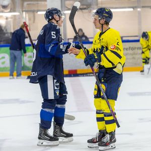 Image post by @leijonatfi on Instagram